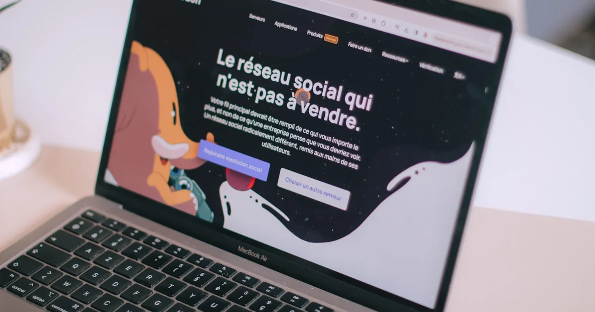 Website Design Paarl: Agency vs Freelancer